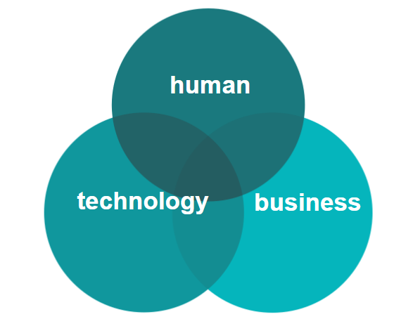 Human, Technology, Business の価値創造図